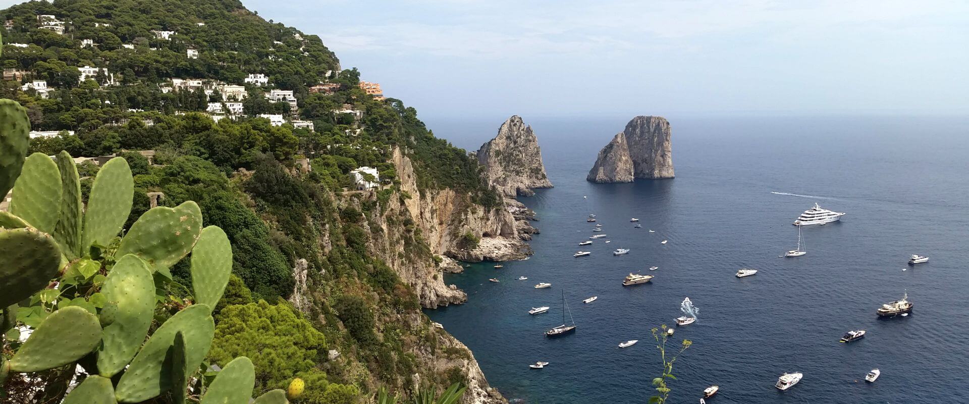 The view of Capri from the top