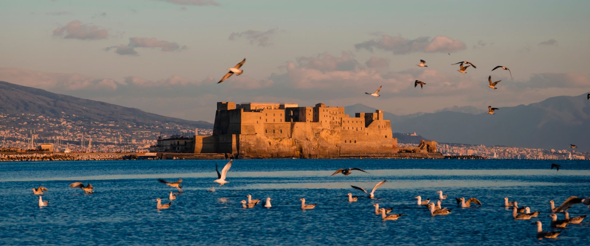 A flock of seagulls flying on sunset time on Castel dell'Ovo background over the sea in Naples, Italy. Egg Castle. Travel in Europe concept. Copy space. Selective focus on Castle.