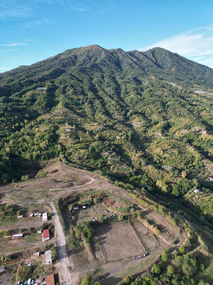 Vesuvius from above