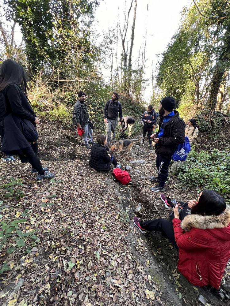 school students into Vesuvius forrest