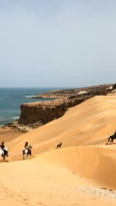 escursione a cavallo in spiaggia Marocco