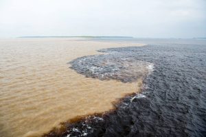 water meeting in brazil -amazon river with rio del negro clean and dirty river water with different streams