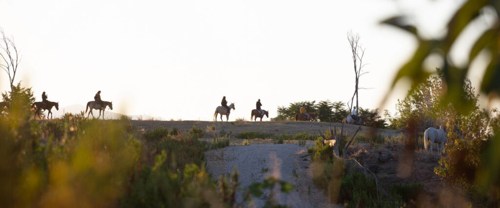 Passeggiata a cavallo nella natura tra i paesaggi campani