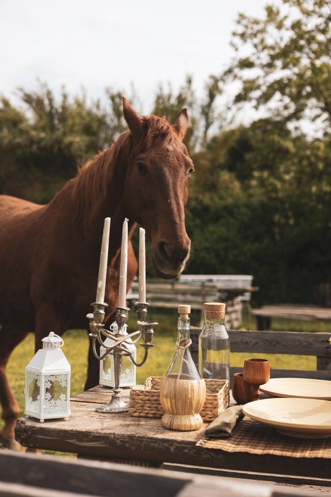 Passeggiata a cavallo con aperitivo al tramonto nel Parco del Vesuvio