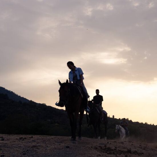 escursione a cavallo al tramonto nel parco nazionale del vesuvio